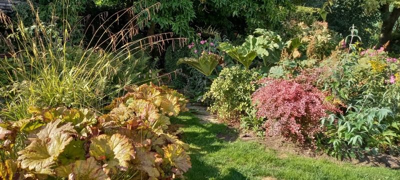 Cobweb Cottage